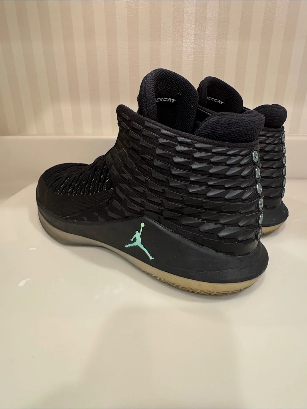 Air Jordan Black Cat Basketball Shoes AA1253-003